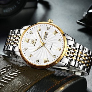 OLEVS 6630 Silver Automatic Mechanical Luxury Watch for Men